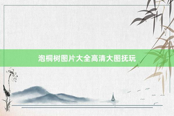 泡桐树图片大全高清大图抚玩